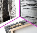 Birch Tree Forest Framed Canvas Print Rustic Nature Wall Art Farmhouse Rustic Bedroom or Living Room Decor