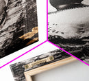 Loon and Birch, Woodland Wildlife Art, Black and White Bird Print, Canvas Print, Rustic Cabin Decor, Nature Inspired Wall Art