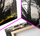Black and White Tree Art, Forest Wall Decor, Nature Artwork, Minimalist Landscape, Rustic Home Decor, Office Art, Framed Canvas Print
