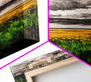 Golden Fields, Dramatic Sky, Green and Yellow, Canvas Print, Rustic Farmhouse Wall Art, Autumn Landscape Decor, Dining Room Art