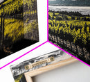 Vineyard View, Rolling Hills, Country Art, Framed Canvas Print, Rustic Landscape, Black White Yellow, Living Room Wall Art, Large Canvas
