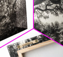 Twisted Forest Canopy, Ancient Trees, Mystical Woodland, Canvas Print, Boho Living Room Art, Black and White Nature Print, Cabin Decor