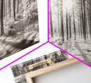 Winter Pine Forest, Sunlight Snow Trees, Nature Landscape Photography, Framed Canvas Print, Cabin Decor, Minimalist Wall Art