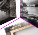 Ocean Snake Landscape, Coastal Creature Scene, Black and White Reptile, Framed Canvas Print, Moody Art, Bedroom or Den Decor