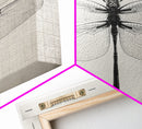 Dragonfly Sketch, Insect Art Print, Botanical Illustration, Minimalist Natural History, Framed Canvas Print, Office or Study Wall Art