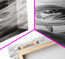 Underwater Trout Closeup, Realistic Fish, Nature Photography, Canvas Print, Man Cave Art, Fishing Lover Gift, Rustic Lake Decor