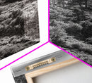 Hillside Forest, Peaceful Pines, Mountain Light, Framed Canvas Print, Nature Wall Art, Cabin Decor, Woodland Landscape Scene