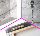 Dragonfly Beach Art, Detailed Insect Wings, Nature Wall Decor, Framed Canvas Print, Boho Bedroom Art, Minimal Wildlife Photography