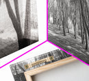 Forest Path, Tree Tunnel, Light Shadows, Woodland Magic, Framed Canvas Print, Nature Lover Gift, Entryway Wall Art, Modern Rustic Style