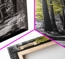 Forest Path Print, Yellow Tree Glow Art, Nature Lover’s Retreat, Framed Canvas Print, Fall Woodland Living Room Wall Decor, Moody Landscape