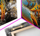 Rainbow Lobster, Bold Colors, Exotic Crustacean, Canvas Print, Underwater Art, Coastal Living Room Wall Art, Boho Ocean Creature Decor