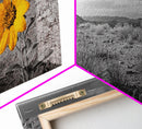 Yellow Flower, Desert Bloom, Monochrome Landscape, Canvas Print, Botanical Wall Art, Minimalist Nature Decor, Modern Kitchen Accent