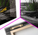 Wild Bloom, Yellow Flower, Driftwood and Grass, Moody Beach Scene, Framed Canvas Print, Autumn Wall Art, Nature Decor, Cozy Home Accent