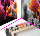 Neon Coral Closeup, Vibrant Underwater Detail, Oceanic Texture Wall Art, Framed Canvas Print, Bathroom Decor, Coastal Modern Style