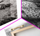 Lizard art, wildlife photography, moody art, desert decor, black and white photography, wabi sabi wall art, framed canvas print, unique gift