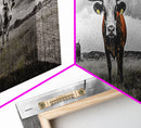 Texas Longhorns, Bull and Bear Art, Rustic Wall Art, Moody Art, Extra Wide Art, Framed Canvas Print, Horizontal Wall Art, Gift Idea