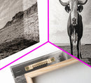 Longhorn, western landscape, bull and bear art, panoramic art, extra wide art, rustic wall art, framed canvas print, farmhouse decor, moody art