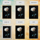 Still Life Photograph of a White Rose, Framed Canvas Print, Rose Painting, Rose Decor, Rose Wall Art, Mother's Day Gift Idea, Flower Wall Art