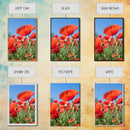Vibrant Poppy Field Framed Canvas Print, California Poppy Art, Rustic Landscape Wall Art, Bedroom Art, Farmhouse Living Room Decor