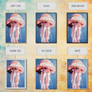 Jellyfish, Ocean Art, Coastal Wall Decor, Nautical Theme, Sea Life Painting, Beach House Art, Minimalist Art, Canvas Print