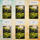Forest Scene, Green Woodland Art, Sunlit Trees Print, Serene Nature Wall Decor, Cozy Cabin Art, Framed Canvas Print, Rustic Home Decor