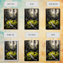 Forest, path, nature, light, Canvas Print, scenic landscape, peaceful art, living room wall art, nature lover gift, modern rustic home decor