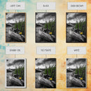 Wild Bloom, Yellow Flower, Driftwood and Grass, Moody Beach Scene, Framed Canvas Print, Autumn Wall Art, Nature Decor, Cozy Home Accent