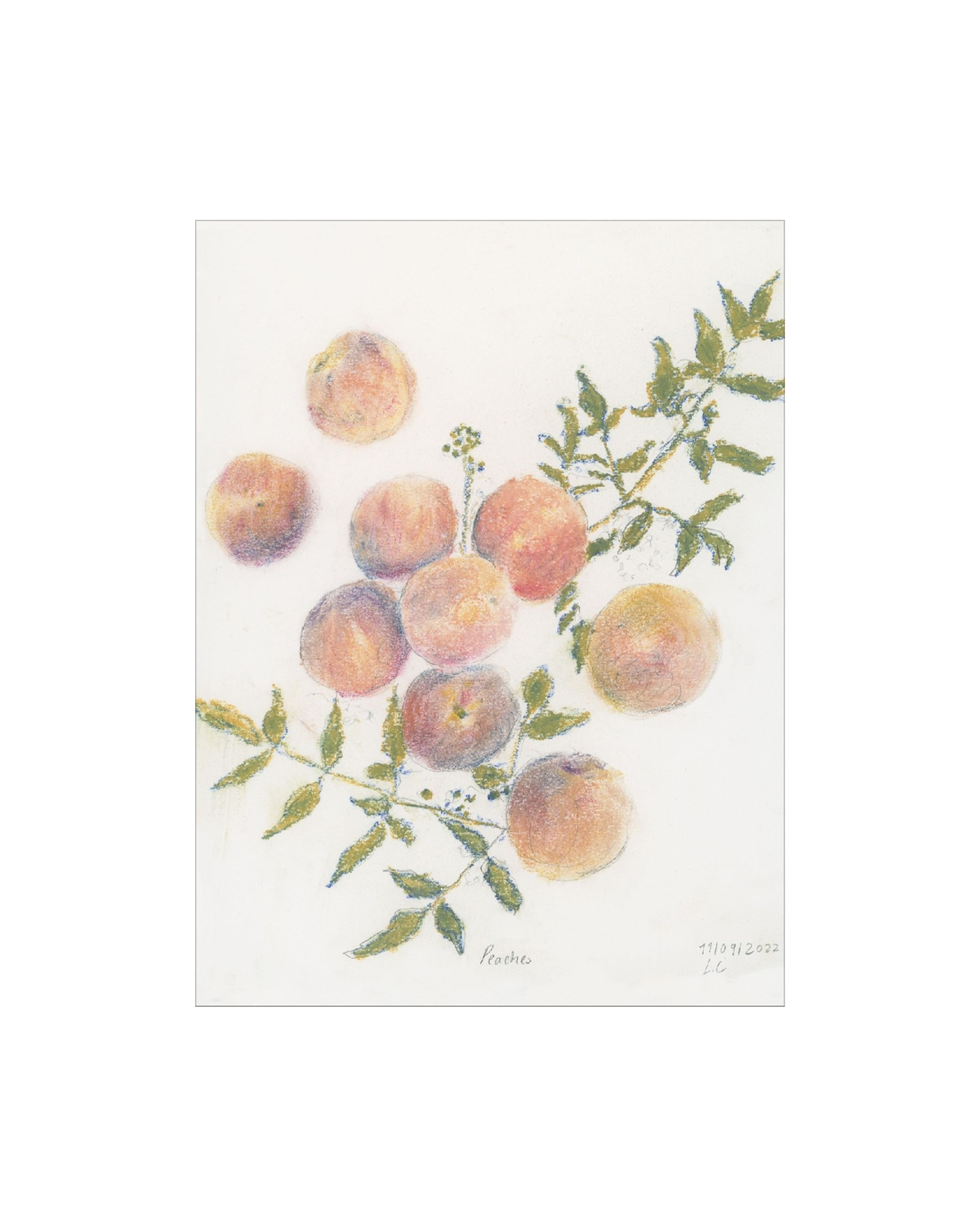 Pastel Peaches, photo 14 of 35