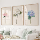 Minimalist Botanical Hydrangea Art Poster Decor by Wall Art Set