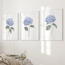 Light Blue Hydrangea Flower Wall Art Poster Set by Wall Art Set