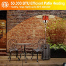 Hykolity 50,000 BTU Propane Patio Heater, Stainless Steel Burner, Triple Protection System, Wheels, Outdoor Heaters (Brown)