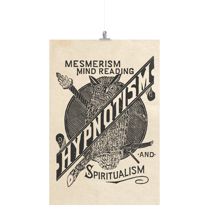 "Hypnotism Owl" Matte Poster