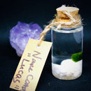 Hot Sale: Live Mini Marimo Moss Ball White and Black Pebbles Glass Bottle Glass Jar