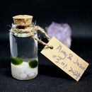Hot Sale: Live Mini Marimo Moss Ball White and Black Pebbles Glass Bottle Glass Jar