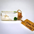 Hot Sale: Live Mini Marimo Moss Ball White and Black Pebbles Glass Bottle Glass Jar