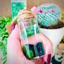 Hot Sale: Live Mini Marimo Moss Ball White and Black Pebbles Glass Bottle Glass Jar