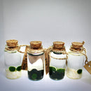 Hot Sale: Live Mini Marimo Moss Ball White and Black Pebbles Glass Bottle Glass Jar