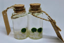 Hot Sale: Live Mini Marimo Moss Ball White and Black Pebbles Glass Bottle Glass Jar