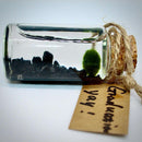 Hot Sale: Live Mini Marimo Moss Ball White and Black Pebbles Glass Bottle Glass Jar