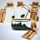 Hot Sale: Live Mini Marimo Moss Ball White and Black Pebbles Glass Bottle Glass Jar