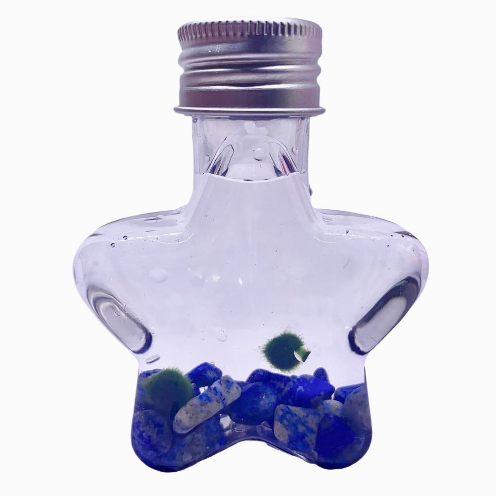 Marimo moss ball kit natural crystal 2PCS gift - Wish Star, photo 4 of 15