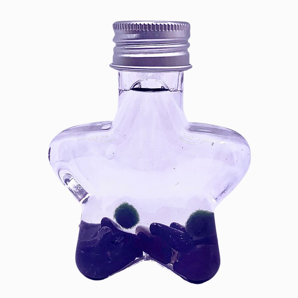 Marimo moss ball kit natural crystal 2PCS gift - Wish Star, photo 5 of 15