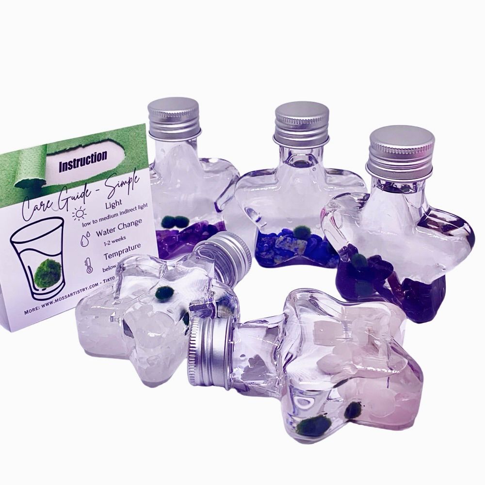 Marimo moss ball kit natural crystal 2PCS gift - Wish Star, photo 7 of 15