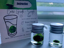 Chubby Marimo Moss Ball Kit Mini Moss Ball Kit