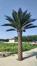 Florida Palm Artificial Tree 13ft–23ft – UV Resistant (10–12 Week Lead Time) by Designer Plants USA