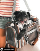 Mr. Peanut's Gold Series Standard Size Airline Compliant Pet Carrier by Mr. Peanut's Pet Carriers
