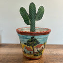 Cowboy Prickly Pear by The Cactus Outlet