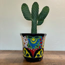 Cowboy Prickly Pear by The Cactus Outlet