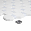 5-Pack White, Blue 11-in x 11-in Polished Natural Stone Floor and Wall Tile
