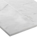 White 4x12 Polished Subway Bianco Carrara Marble Tile (15 pack, 5 sq ft/case)